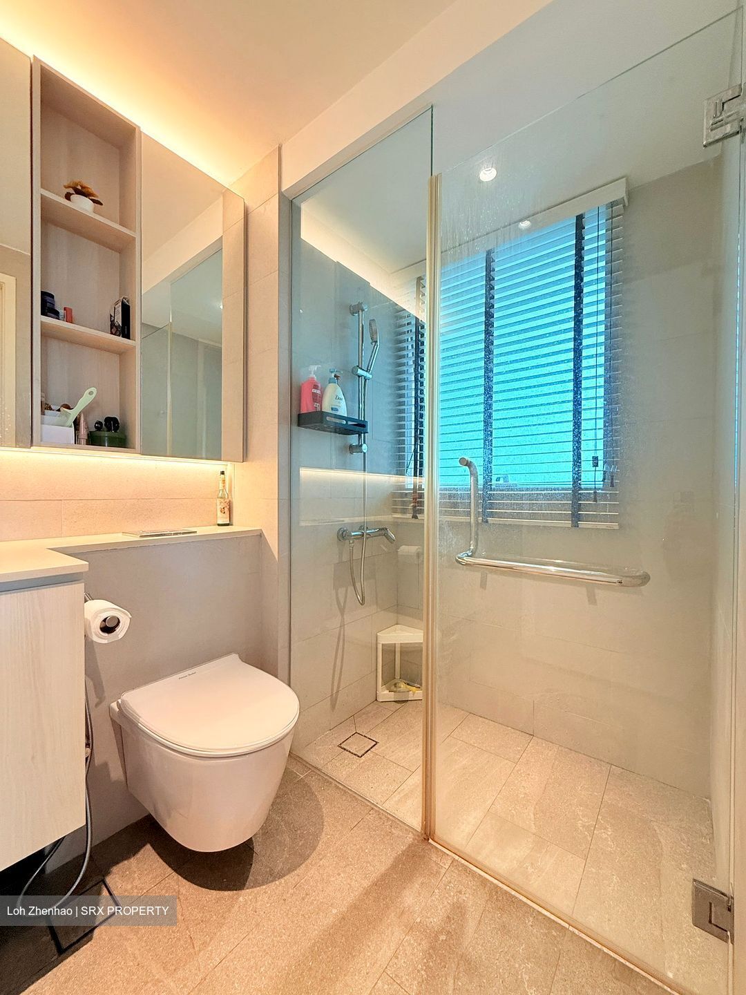 The Minton (D19), Condominium #555716671